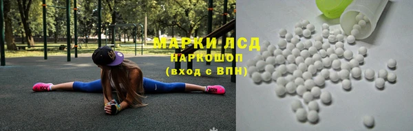 СК Алексин