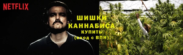 ПСИЛОЦИБИНОВЫЕ ГРИБЫ Аркадак