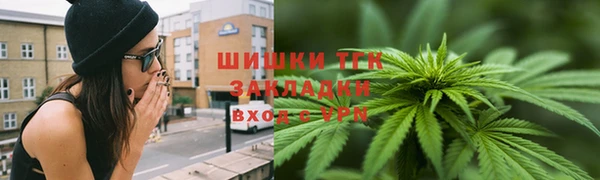 ПСИЛОЦИБИНОВЫЕ ГРИБЫ Аркадак