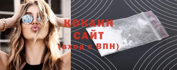 дживик Арсеньев