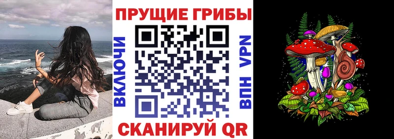 цены   Беломорск  Галлюциногенные грибы MAGIC MUSHROOMS 